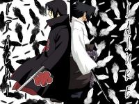 Sasuke e Itachi